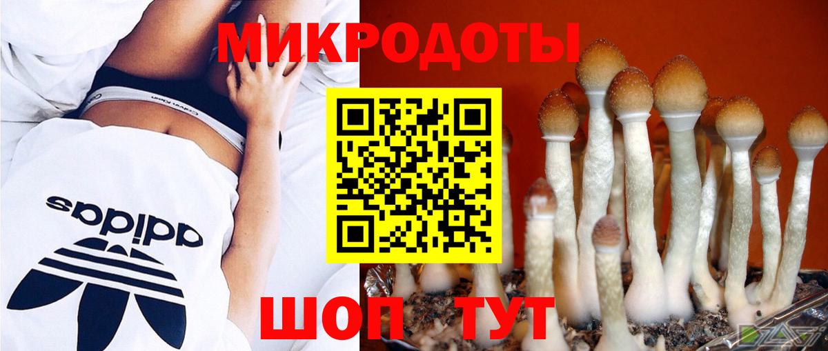 Галлюциногенные грибы мухоморы Елец