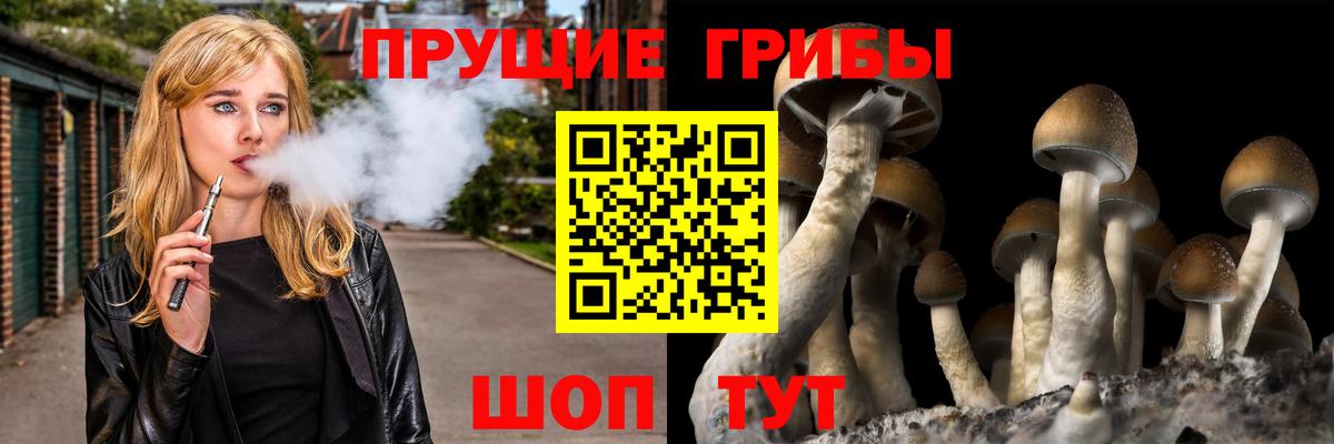 Елец  Псилоцибиновые грибы мухоморы  Вход с VPN 